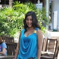 Payal Ghosh New Hot and Spicy Gallery | Picture 90620